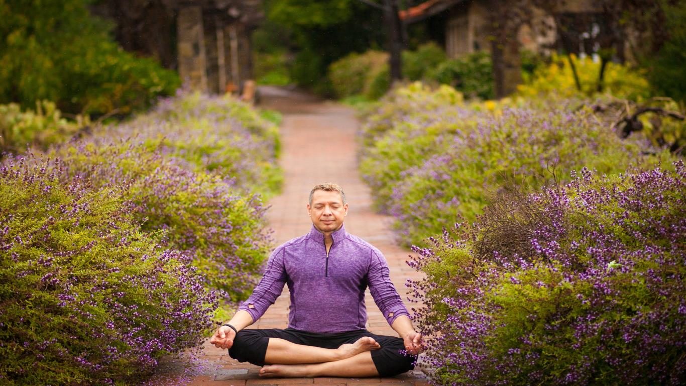 Healthy body, healthy mind